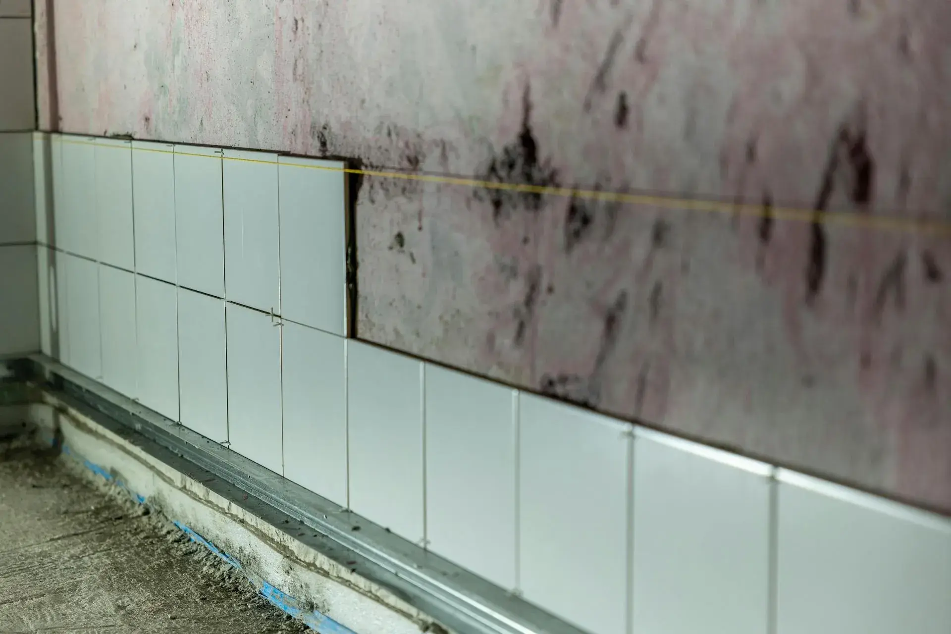 Mold remediation containment in Ada, MI
