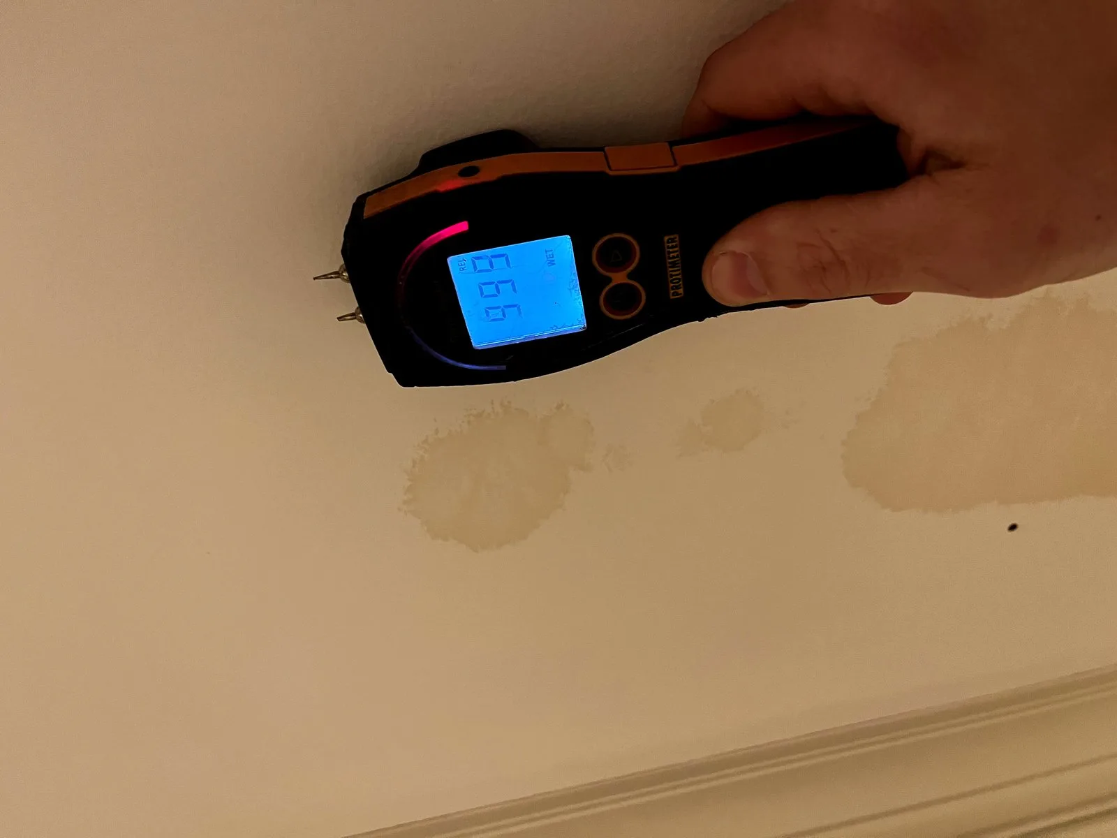 Moisture meter detecting ceiling water damage — West Michigan