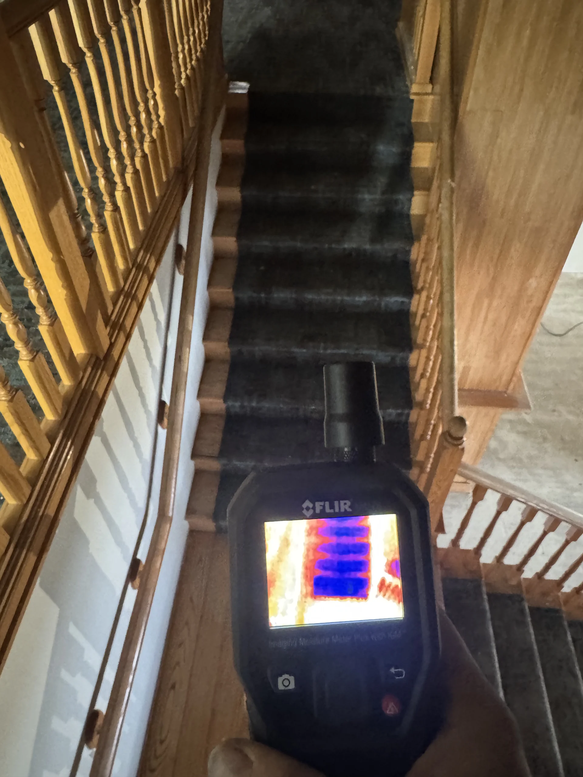Water damage mitigation and moisture mapping — West Michigan